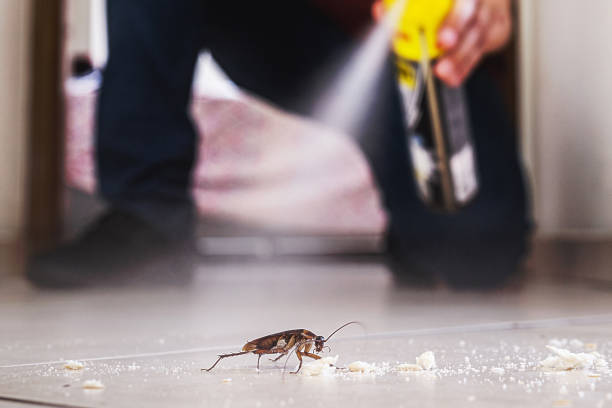 Best Affordable Pest Control Services  in Gladstone, OR